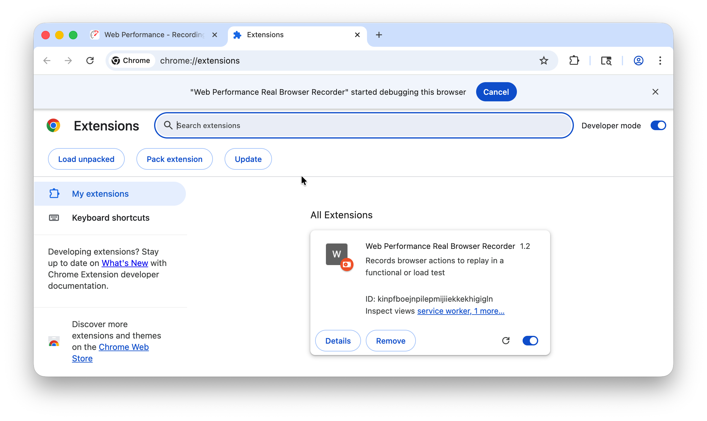 chrome://extensions with Developer mode toggle